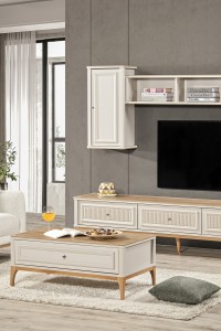 Aspendos Tv Ünitesi