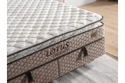 Lotus set