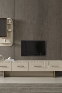 Polo Tv Ünitesi